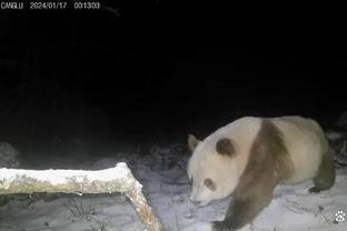 埃尔伯：外援离开后中国本土球员成长空间更大 联赛和青训是基础